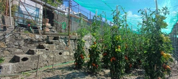 Casa T2 em Ronco Scrivia, Italy N.º 296500 42