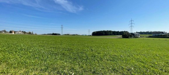 Terrain à Seekirchen am Wallersee, Austria No. 20204 3