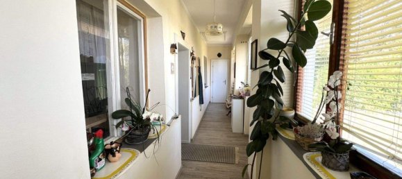 Casa de 3 divisões em Gerersdorf-Sulz, Austria N.º 245173 4