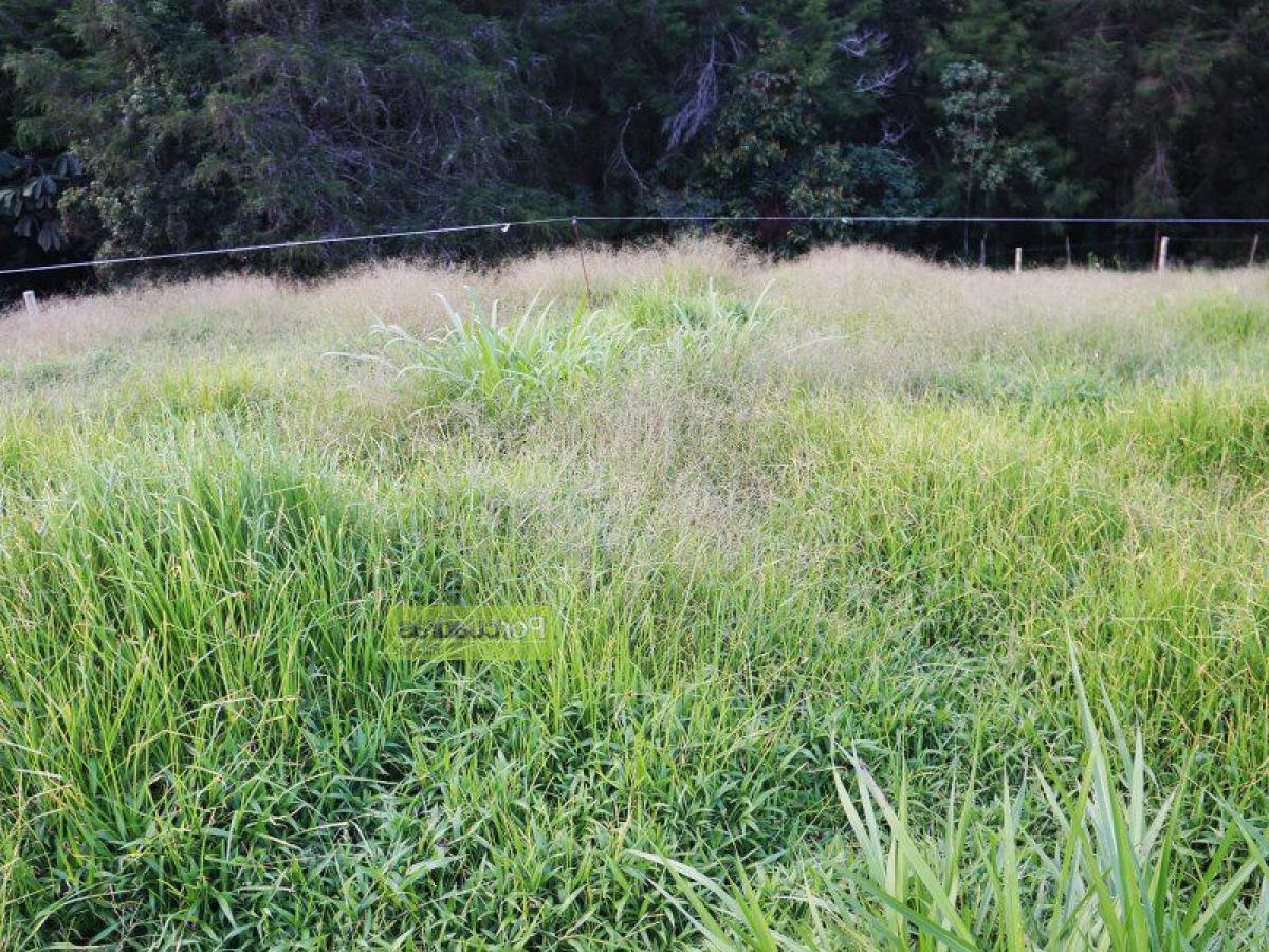  Land in Antioquia, Colombia No. 708