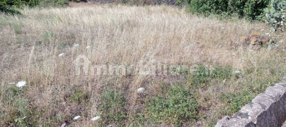 5غرفة منزل في Pantelleria, Italy رقم 290935 13