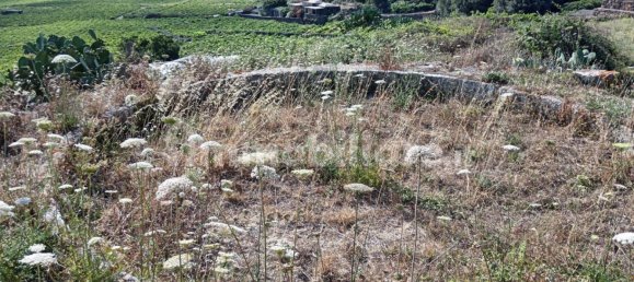 5غرفة منزل في Pantelleria, Italy رقم 290935 10