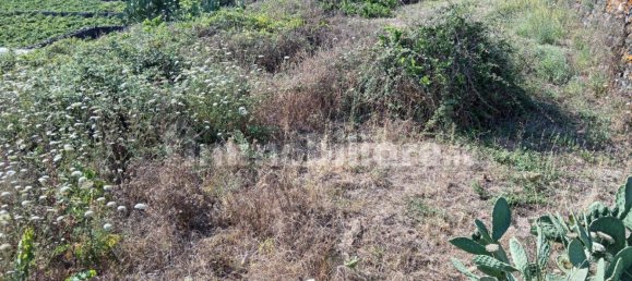 5غرفة منزل في Pantelleria, Italy رقم 290935 12