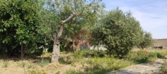 1500m² Land in Villares de la Reina, Spain No. 62440 10