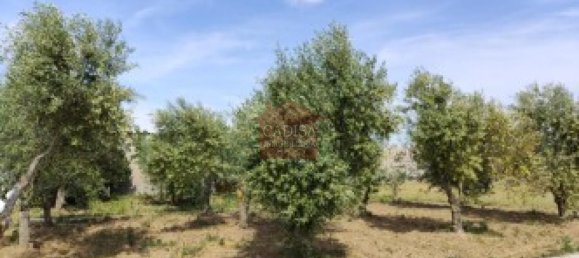 1500m² Land in Villares de la Reina, Spain No. 62440 9