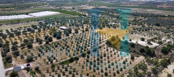 2 chambres Villa à Noto, Italy No. 175834 17