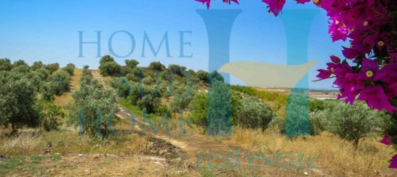 2 chambres Villa à Noto, Italy No. 175834 18