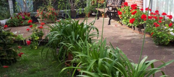 4 bedrooms Bungalow in Diepholz, Germany No. 187453 6