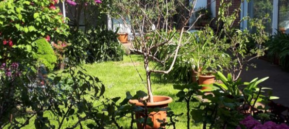 4 bedrooms Bungalow in Diepholz, Germany No. 187453 7