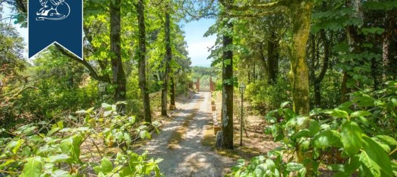 10 bedrooms Villa in Foiano della Chiana, Italy No. 320299 7