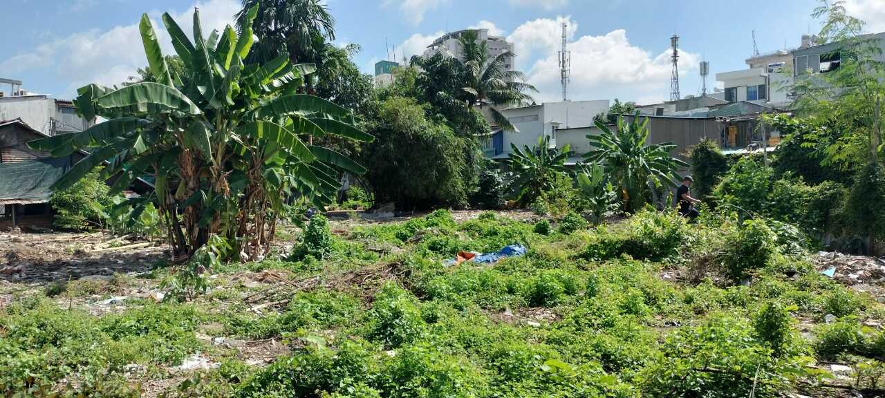 1760m² Land in District 7, Vietnam No. 19155