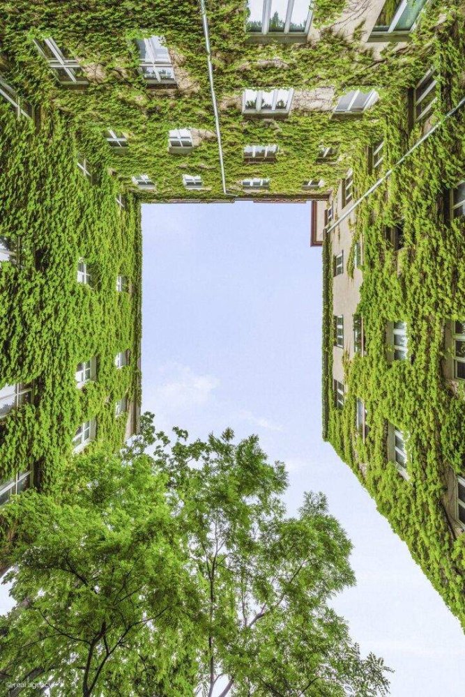 4 rooms Apartment in Wieden, Austria No. 249975