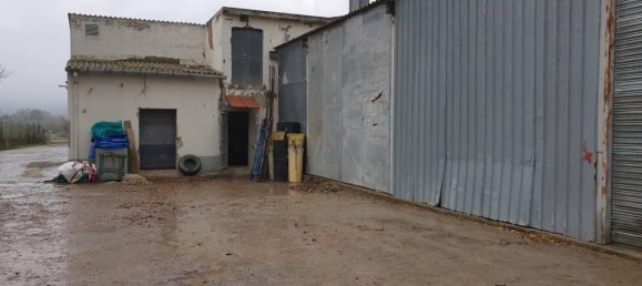 Armazém em Tona, Spain 1440 m² N.º 84971 6