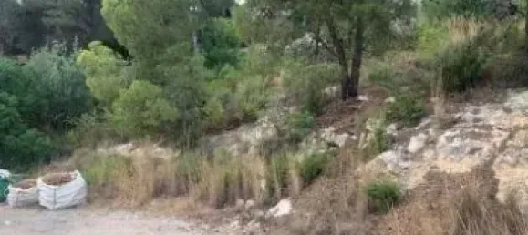  قطعة أرض في Valencia, Spain 804متر مربع رقم 138211 7