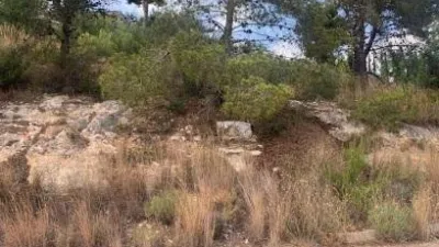  قطعة أرض في Valencia, Spain 804متر مربع رقم 138211