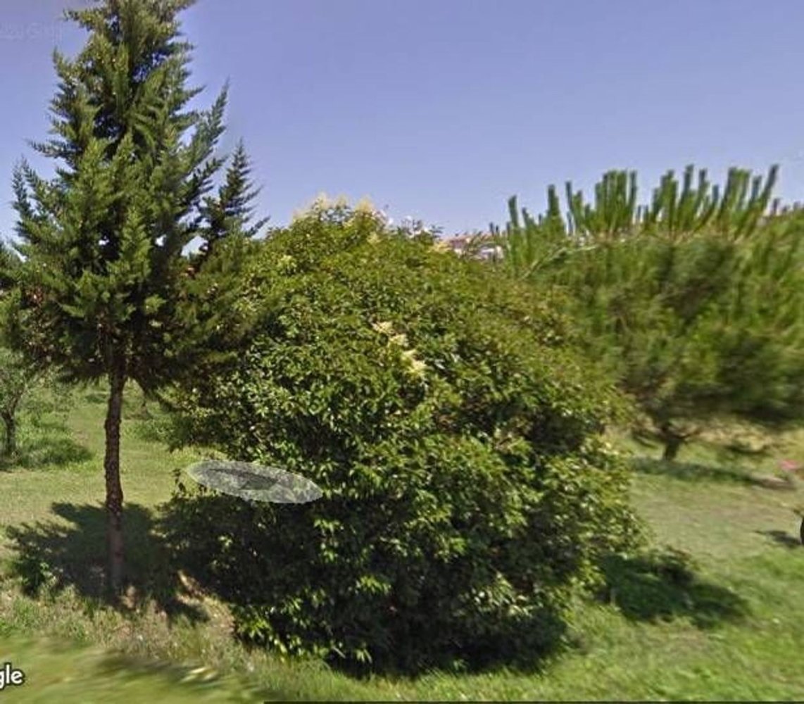 3غرفة شقة في Bientina, Italy رقم 37834