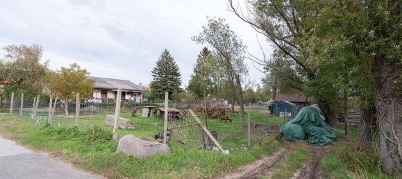 Земельный участок в Матцендорф-Хёллес, Австрия № 84501 2