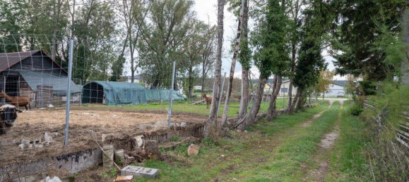 Земельный участок в Матцендорф-Хёллес, Австрия № 84501 3