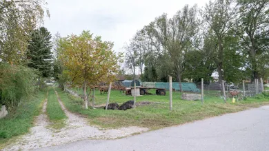 Земельный участок в Матцендорф-Хёллес, Австрия № 84501