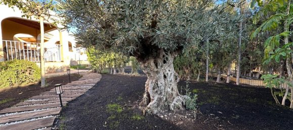 3 bedrooms Villa in Mutxamel, Spain No. 128278 28