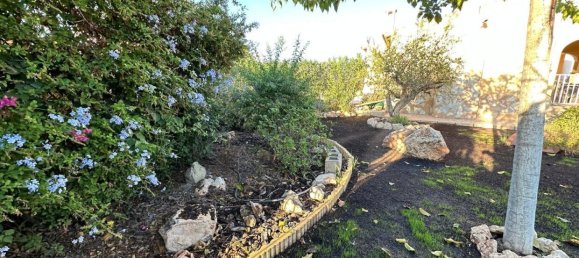 3 bedrooms Villa in Mutxamel, Spain No. 128278 27