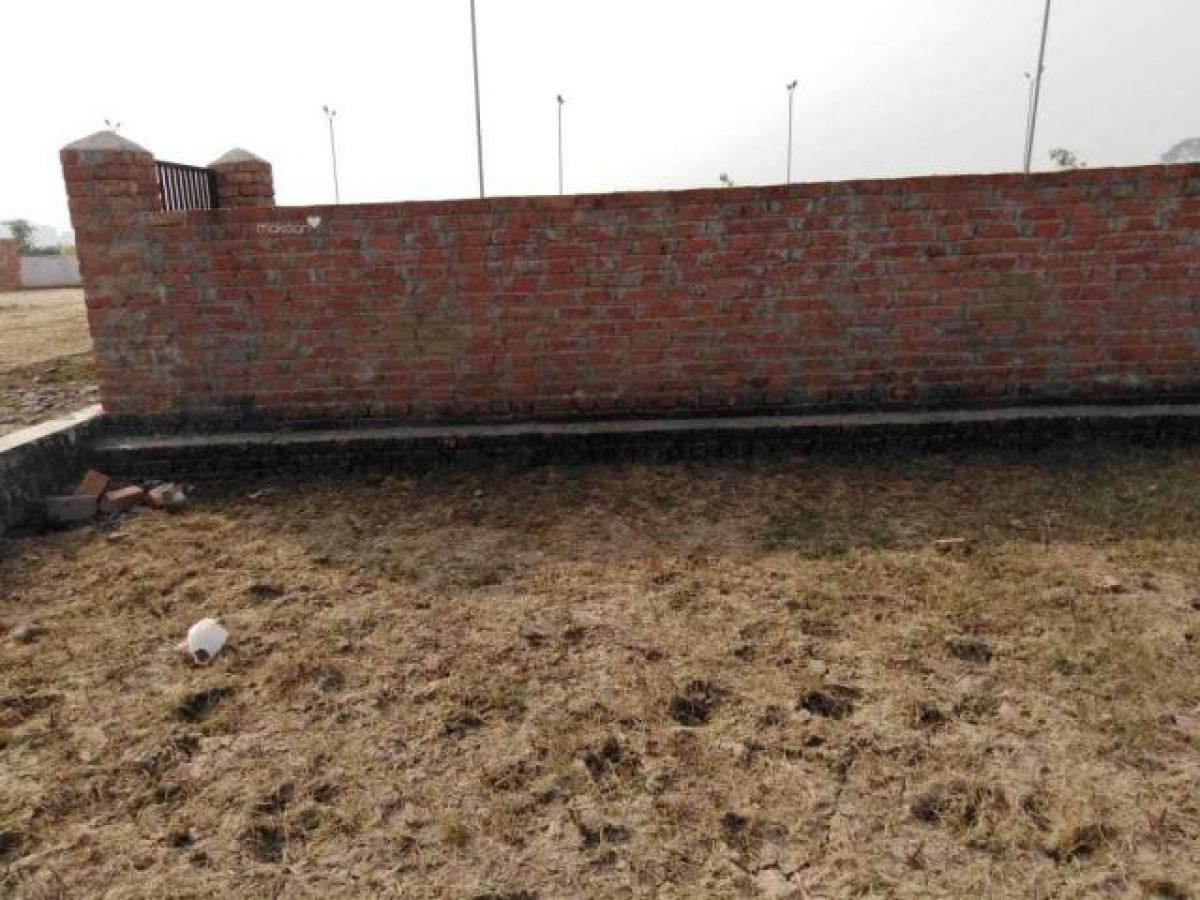  قطعة أرض في Lucknow, India رقم 35065