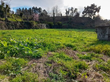 2583m² Land in Amarante, Portugal No. 61816