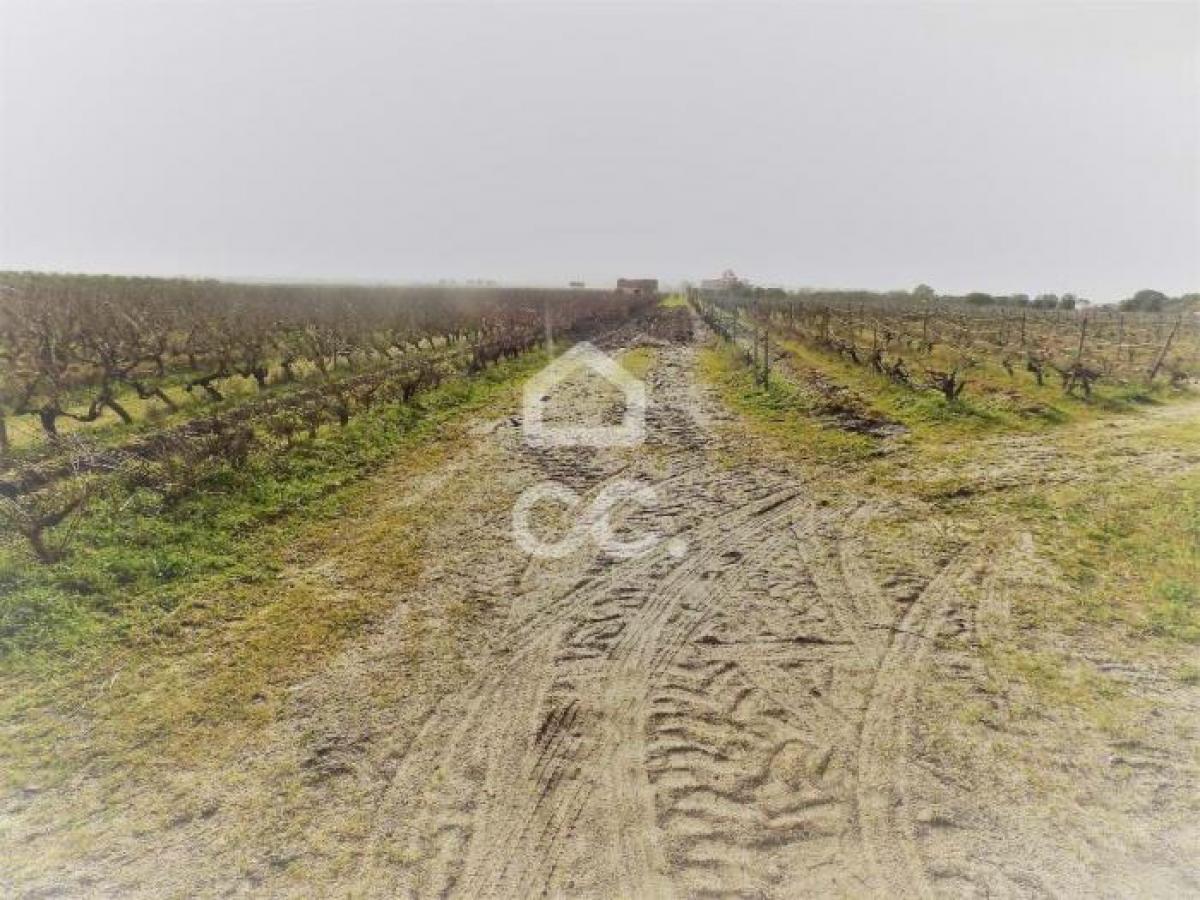 Grundstück in Palmela, Portugal, Nr. 8970