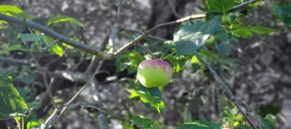 6غرفة تاون هاوس في Schwabach, Germany رقم 275026 8