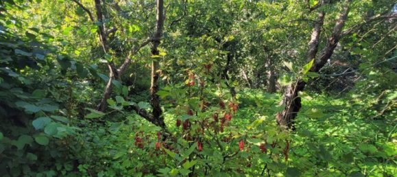 6غرفة تاون هاوس في Schwabach, Germany رقم 275026 26