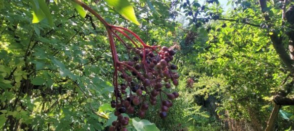 6غرفة تاون هاوس في Schwabach, Germany رقم 275026 24