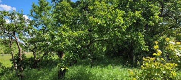 6غرفة تاون هاوس في Schwabach, Germany رقم 275026 12