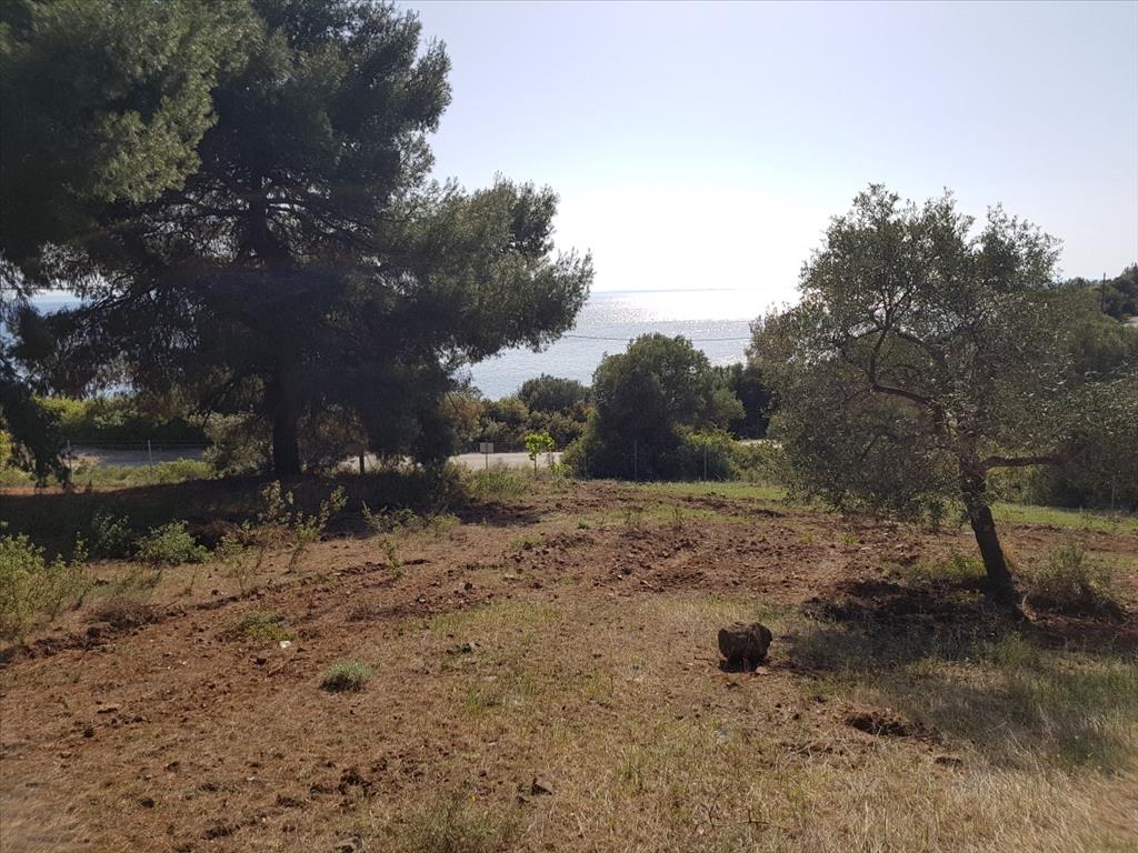 6500m² Hotel for sale in Polygyros, Chalkidiki, Central Macedonia, Macedonia and Thrace, Greece № 6332