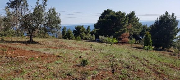 Отель, гостиница 6500м² в Полийирос, Греция № 6332 2