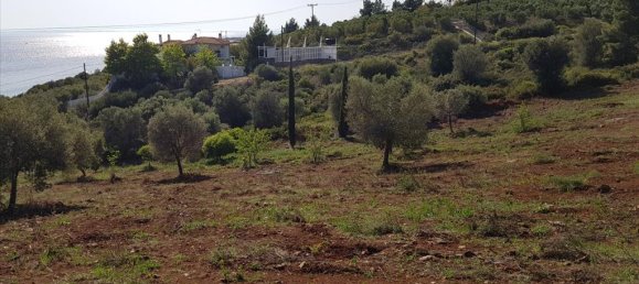 Отель, гостиница 6500м² в Полийирос, Греция № 6332 5