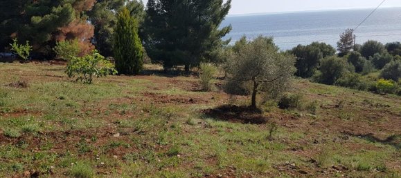 Отель, гостиница 6500м² в Полийирос, Греция № 6332 12