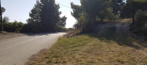 Отель, гостиница 6500м² в Полийирос, Греция № 6332 10