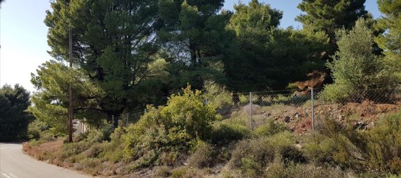 Отель, гостиница 6500м² в Полийирос, Греция № 6332 9