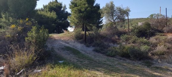 Отель, гостиница 6500м² в Полийирос, Греция № 6332 8