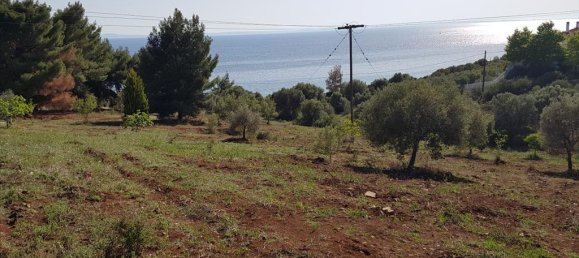 Отель, гостиница 6500м² в Полийирос, Греция № 6332 4