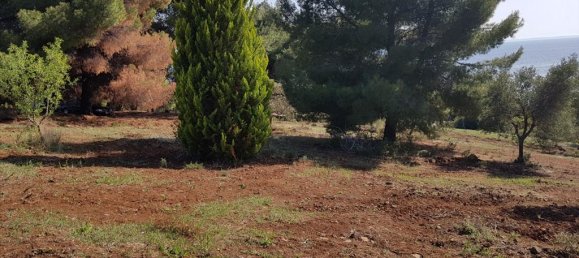 Отель, гостиница 6500м² в Полийирос, Греция № 6332 11