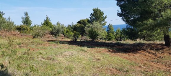 Отель, гостиница 6500м² в Полийирос, Греция № 6332 7