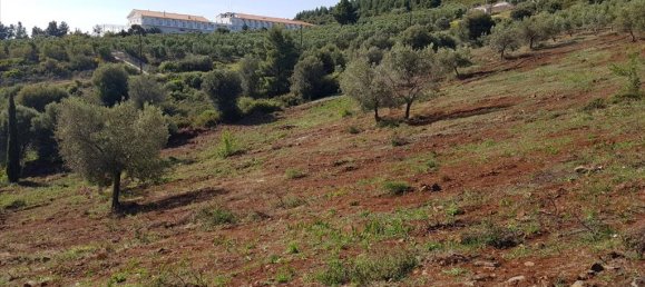 Отель, гостиница 6500м² в Полийирос, Греция № 6332 3