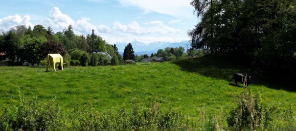  قطعة أرض في Bad Tolz-Wolfratshausen, Germany رقم 317943 4