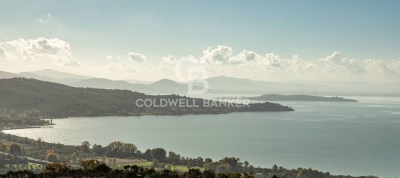 18 rooms Villa in Passignano sul Trasimeno, Italy No. 124528 28