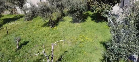 3 bedrooms House in Serta, Portugal No. 174667 9