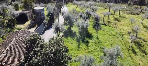 3 bedrooms House in Serta, Portugal No. 174667 11