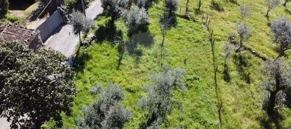 3 bedrooms House in Serta, Portugal No. 174667 10