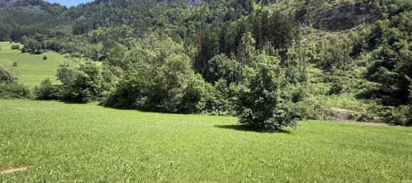 Grundstück in Götzis, Austria 2525m², Nr. 148832 13