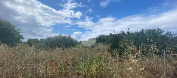 Grundstück in Sassari, Italy 2400m², Nr. 25247 4